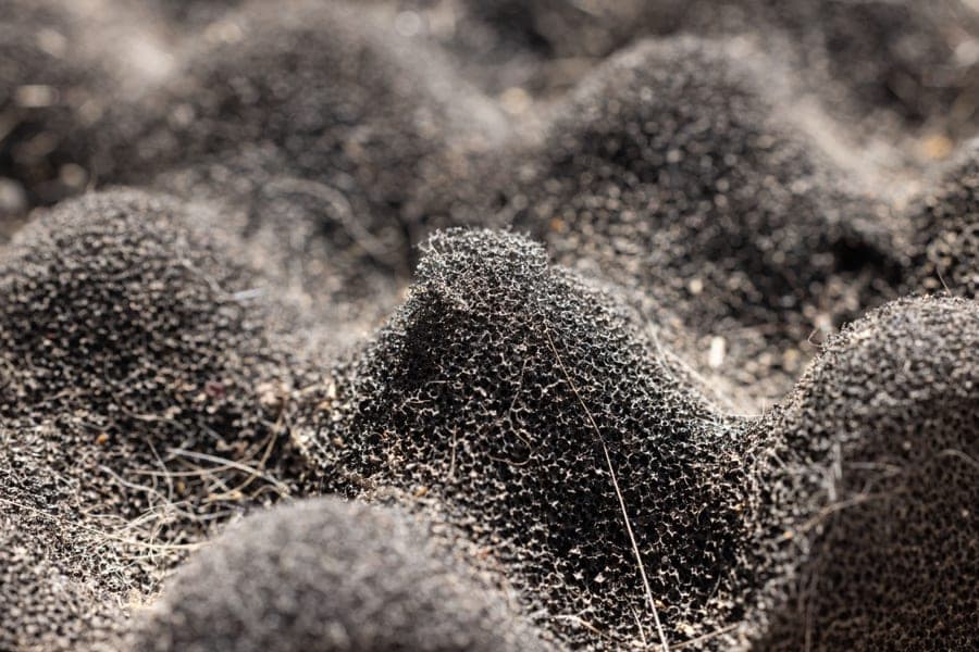 Close-up of a dark textured sound-absorbing foam surface