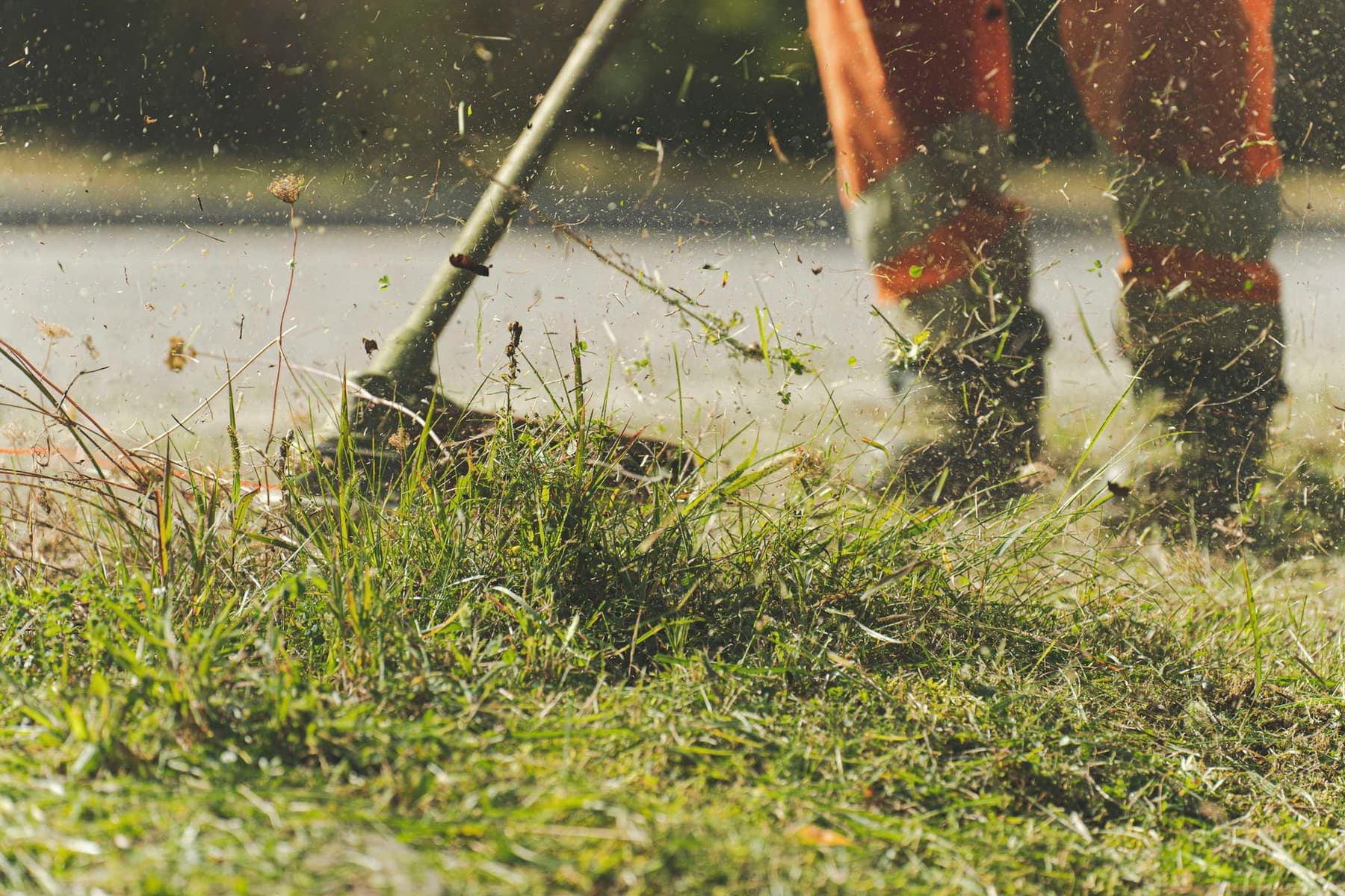 A person mowing a green lawn with a walk-behind mower